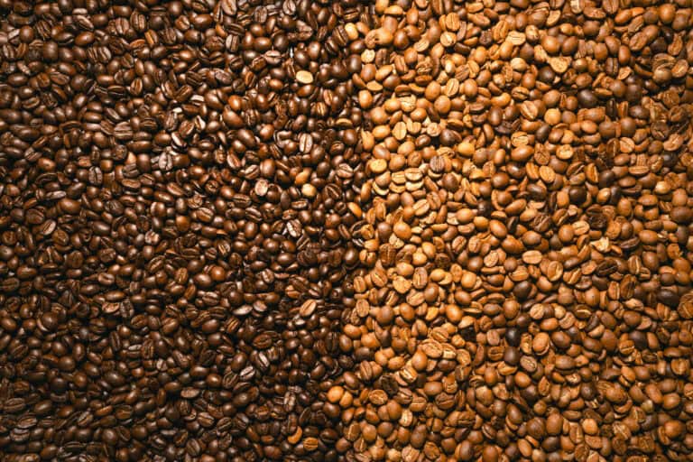 light roast vs dark roast